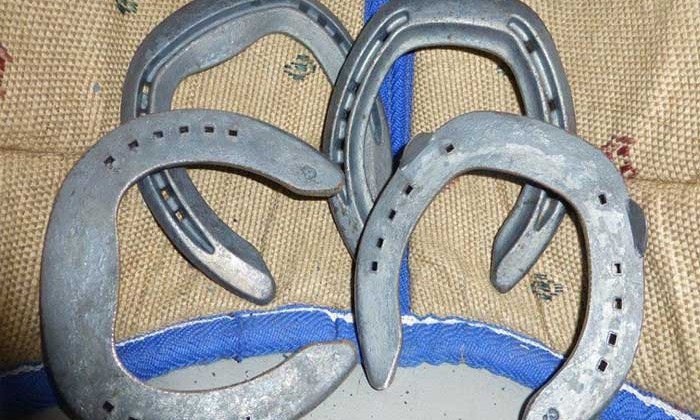 Natural Balance Steel Shoes