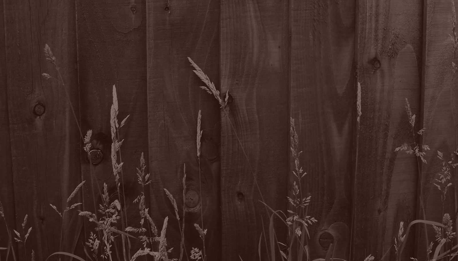 Suncoast Farrier & Equine Supplies